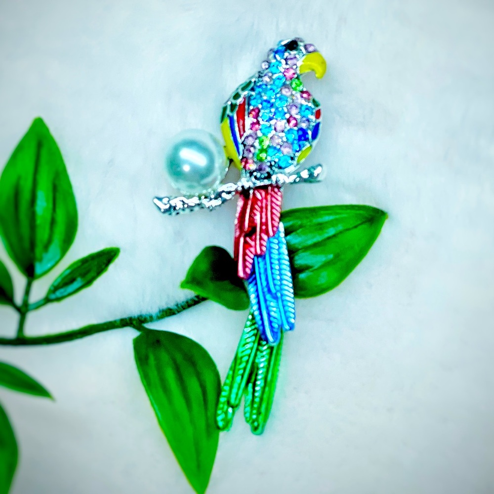 Brooch🦜